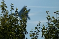 011_Radom_Air Show_MiG-29